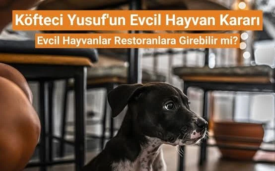 Köfteci Yusuf'un &quot;evcil hayvan girişi yasak&quot; kararına tepki yağdı
