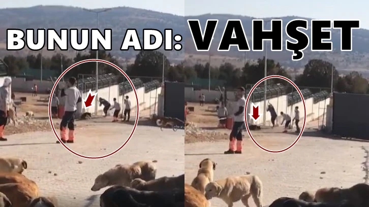 Konya'da vahşet: Kürekle başına vura vura öldürdü!