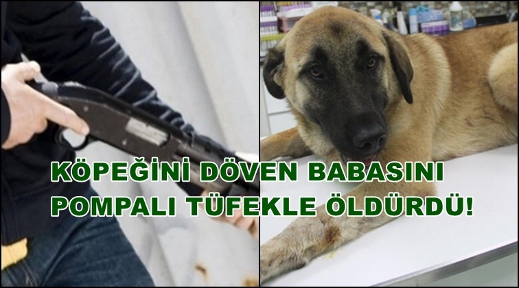 Köpeğini döven babasını öldürdü!