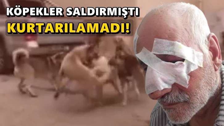 Köpeklerin saldırdığı yaşlı adam hayatını kaybetti!