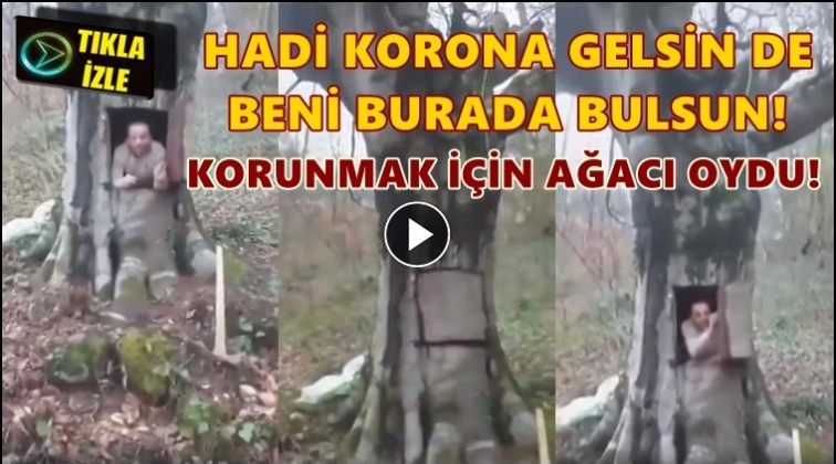 Koronavirüsten korunmak için ağacı oydu!