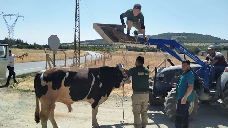 Kurban yakalama timi görev başında