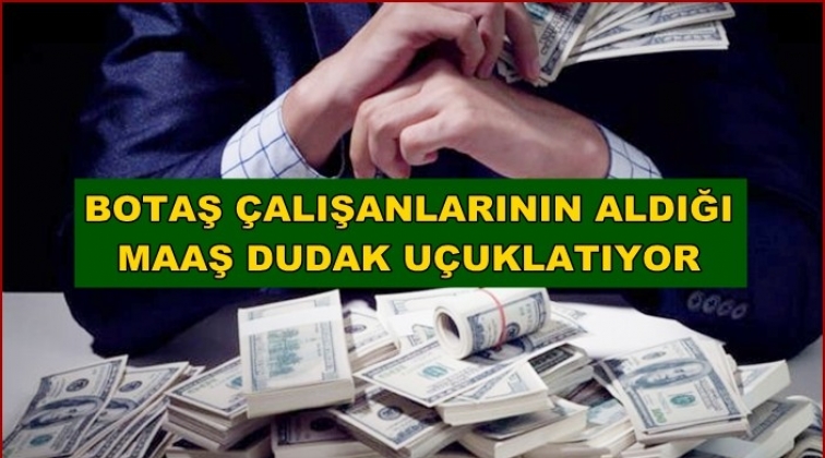 Maaşları dudak uçuklatıyor: 12 bin dolar...