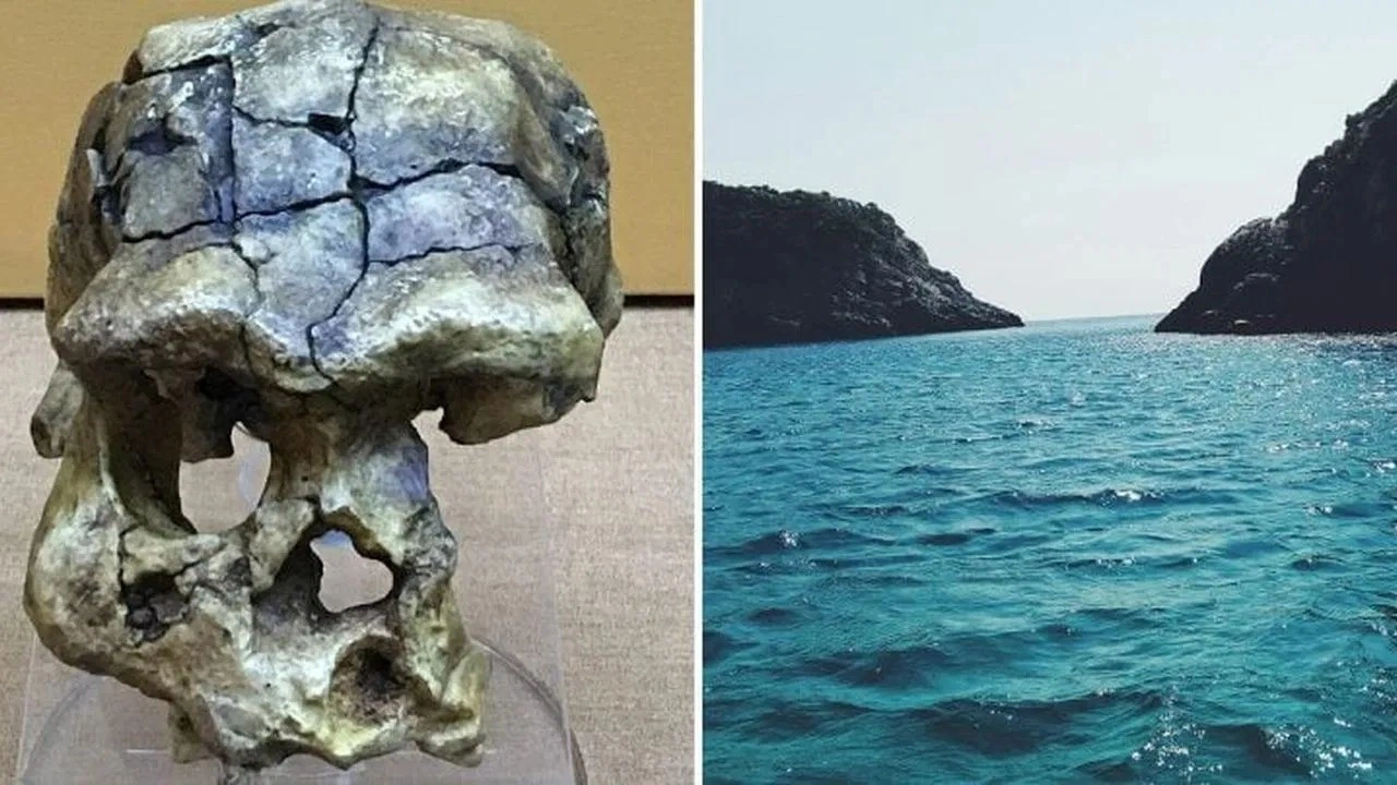 Madura Boğazı’nda keşfedildi: 140 bin yıllık kafatası tarihi değiştiriyor