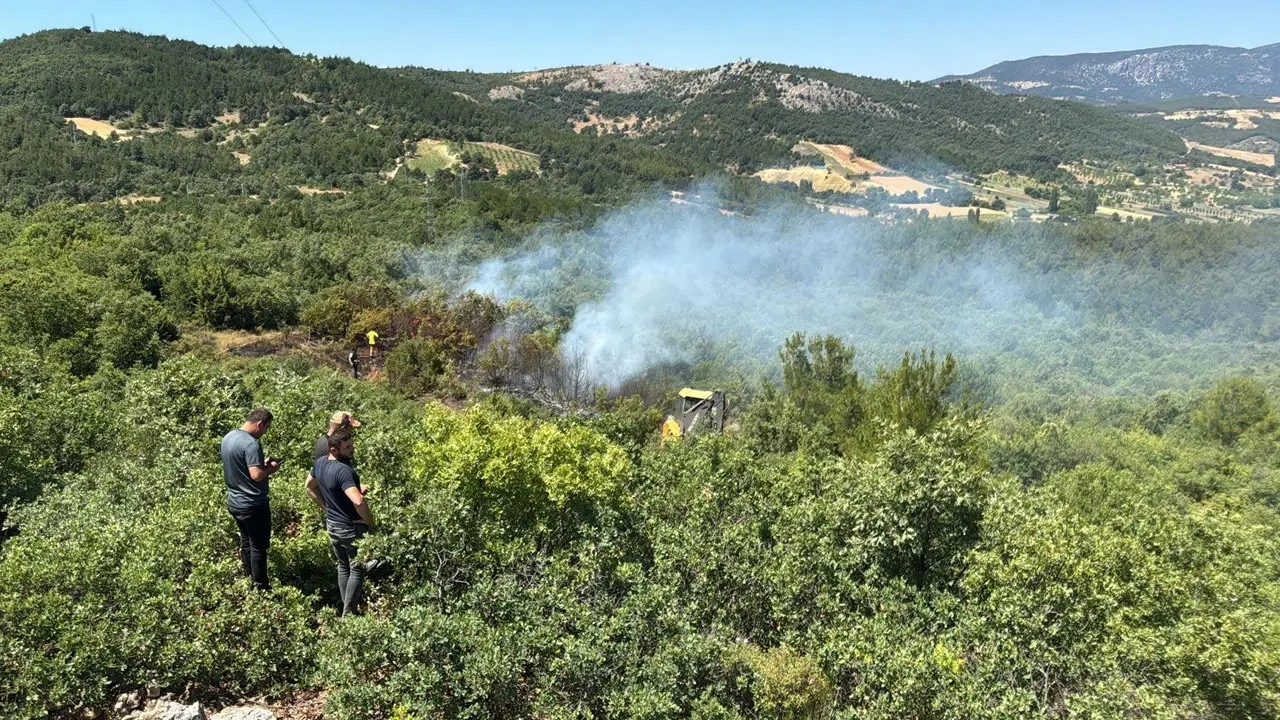 Manisa'da orman yangını paniği: 30 dakikalık müdahale!
