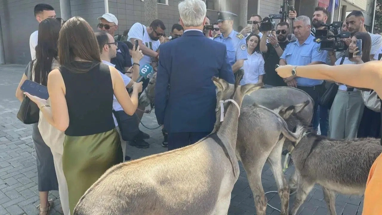 Meclis başkanının seçilememesi 'eşeklerle' protesto edildi