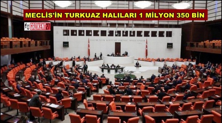 Meclis'e 1 milyon 350 bin liraya halı