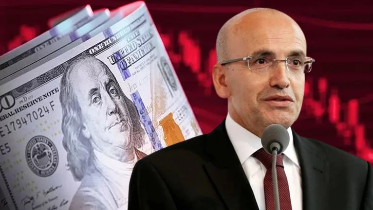 Mehmet Şimşek: Dolarizasyon belasından kurtulmak için...