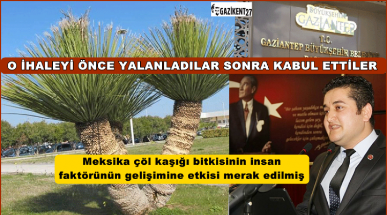 'Meksika &ccedil;&ouml;l kaşığı' ihalesinde ilgin&ccedil; gelişme