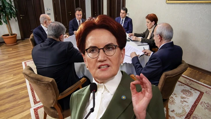 Meral Akşener, gazeteci Candaş Tolga Işık'a konuştu