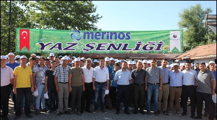 Merinos Halı geleneksel yaz şenlikleri başladı