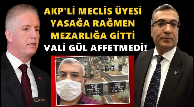 Mezarlık fotoğrafı paylaşan AKP'liye şok!