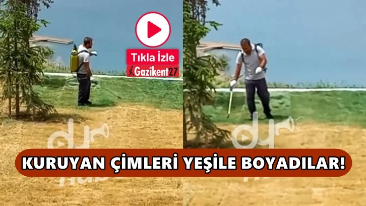 Millet Bahçesi'nin kuruyan çimleri yeşile boyandı!