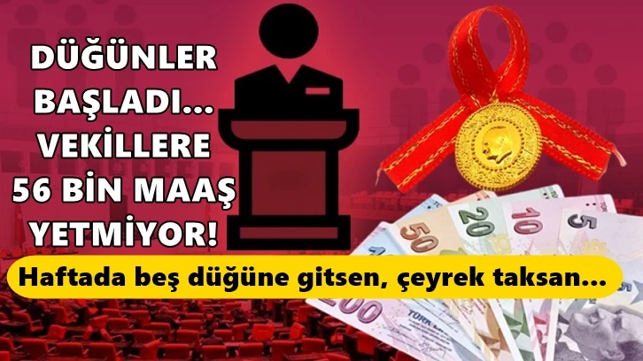 Milletvekillerinin altın ve akaryakıt isyanı!