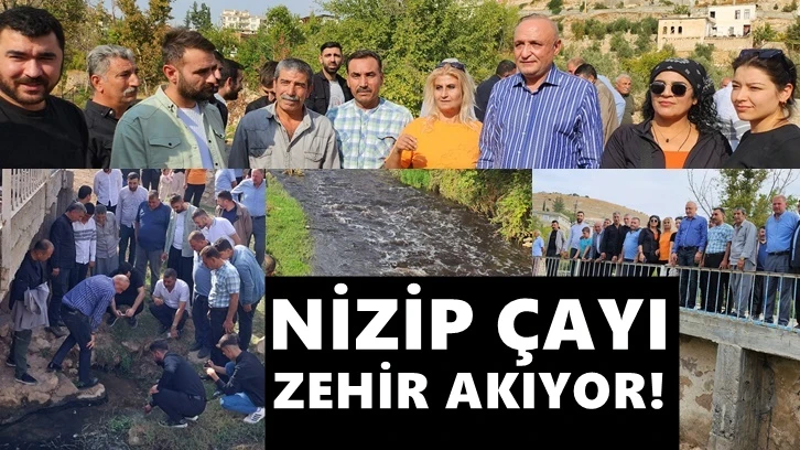 Nizip Çayı’ndan zehir akıyor!