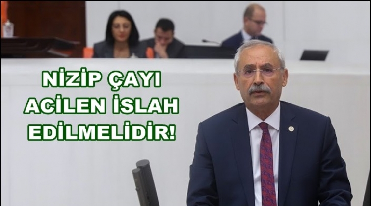 'Nizip Çayı’nın acilen ıslah edilmesi gerek'