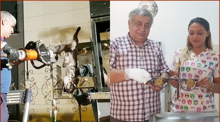 O kedi CAHİDE&rsquo;nin korumasında