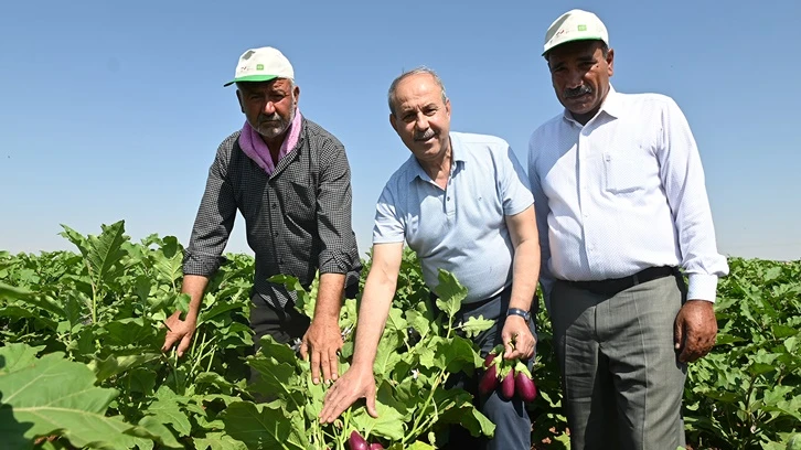 Oğuzeli'nde 62 aileye geçim kaynağı...