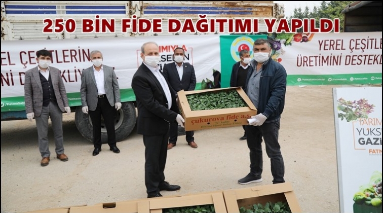 Oğuzeli'nde 250 bin fide dağıtıldı