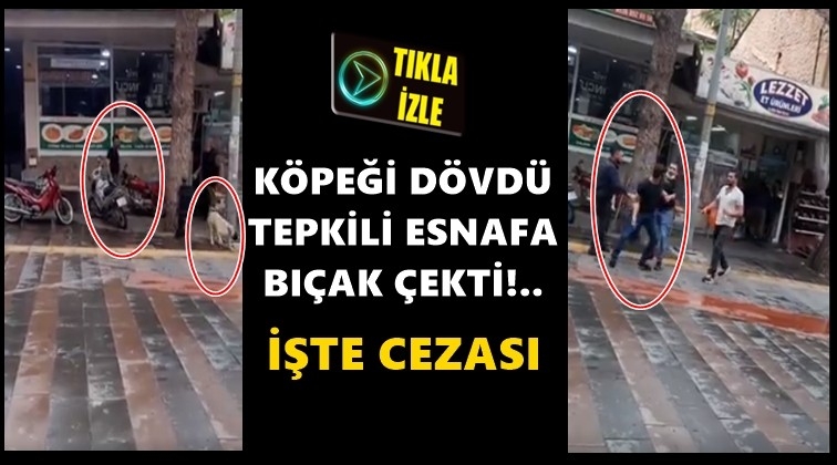 Önce köpeğe sonra esnafa saldırmıştı!..