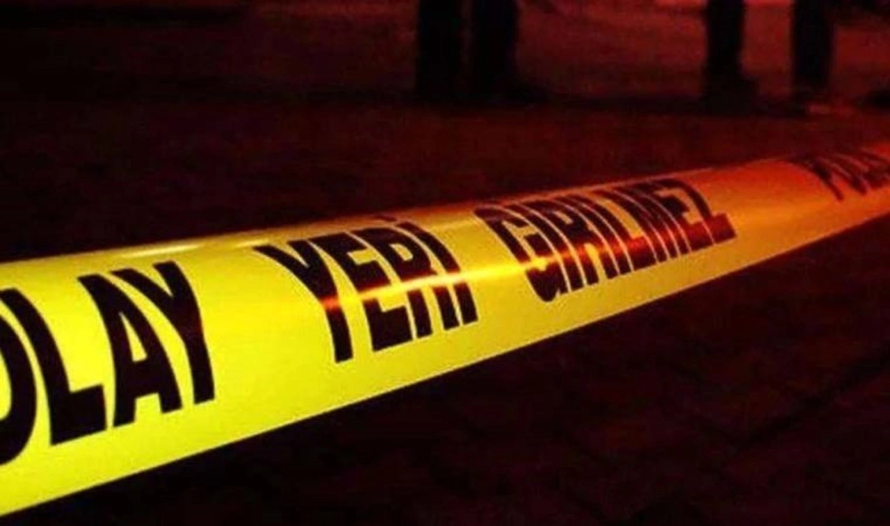 Ordu'da kaybolan 2 kişi için arama çalışması başlatıldı