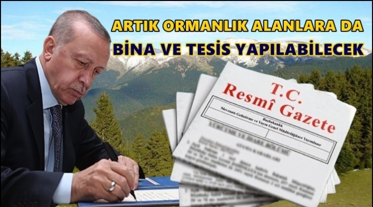 Orman alanları imara açılıyor!