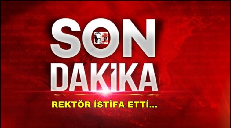Osmangazi &Uuml;niversitesi rekt&ouml;r&uuml; istifa etti