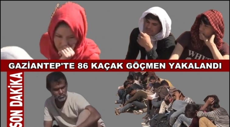 Otobüs şoförü göçmenleri yolda bırakıp kaçtı