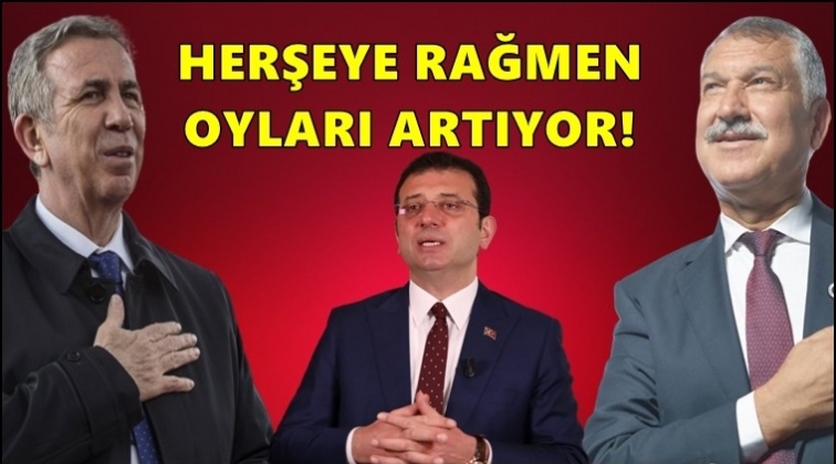 Oyları artmaya devam ediyor...