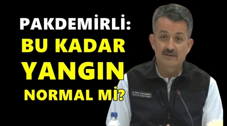 Pakdemirli: Bu kadar yangın normal mi?