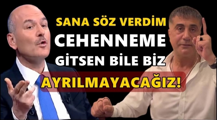 Peker: Cehenneme gitsen bile biz ayrılmayacağız!