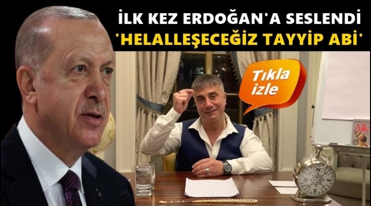 Peker’den Erdoğan'a: Helalleşeceğiz Tayyip abi...