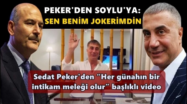 Peker'den Soylu'ya: “Sen benim jokerimdin