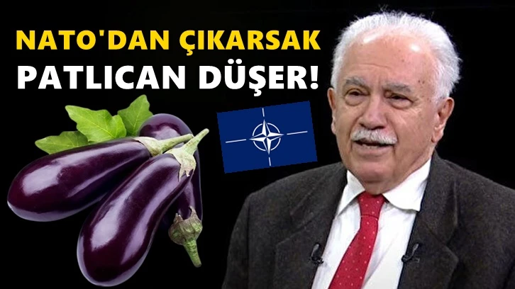 Perinçek: NATO'dan çıkarsak patlıcan fiyatları düşer