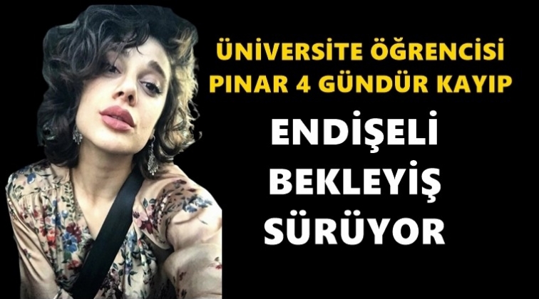 Pınar Gültekin dört gündür kayıp