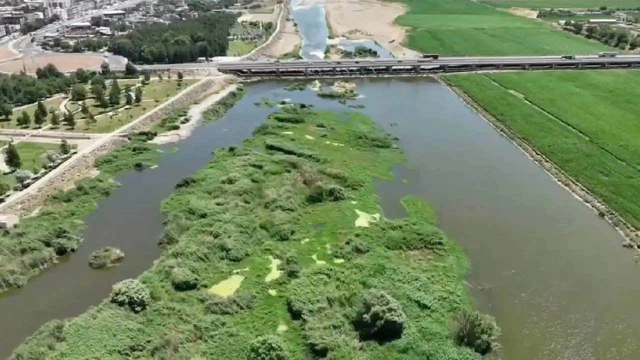 Piyasa değeri 100 milyon lira: Dicle Nehri'ndeki adacıklarda ekilen uyuşturucu yakalandı!