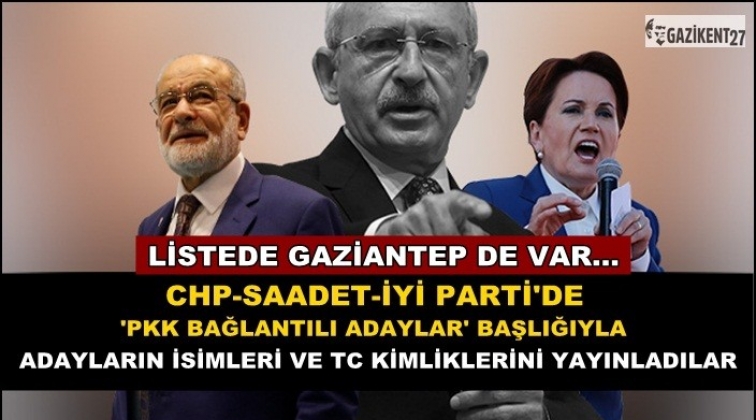 'PKK ile bağlantılı adaylar' listesinde Gaziantep de var!