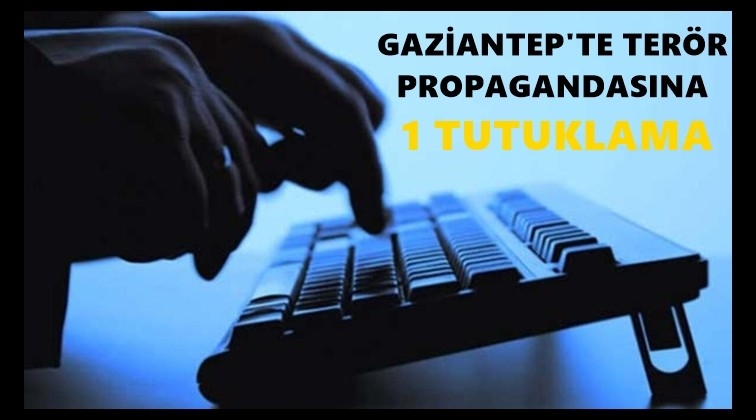 PKK/YPG propagandasına tutuklama