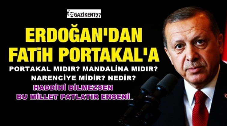 Portakal mısın, mandalina mısın, narenciye misin?