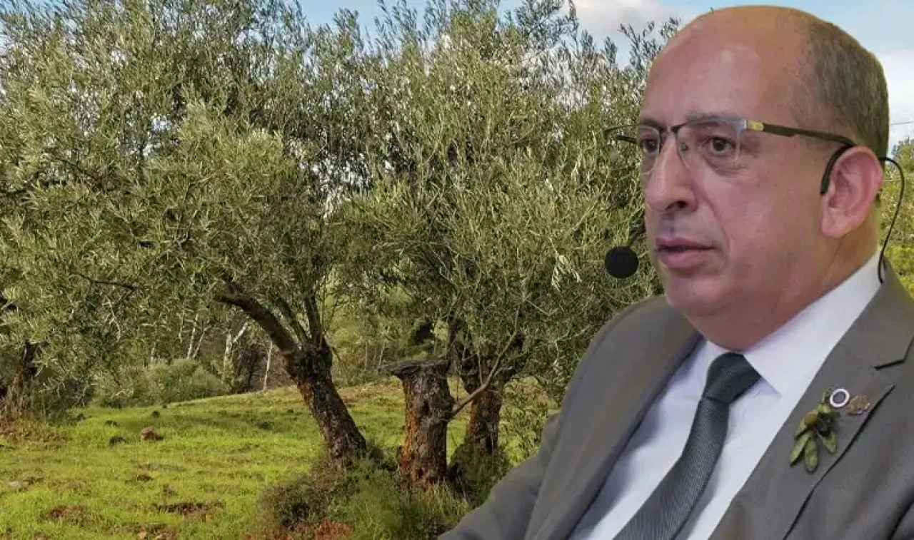 Prof. Dr. Mücahit Taha Özkaya: Zeytin ağaçları doğru koşullarda...