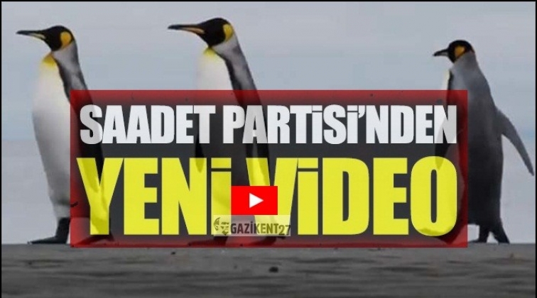 Saadet Partisi'nden Penguen belgeseli