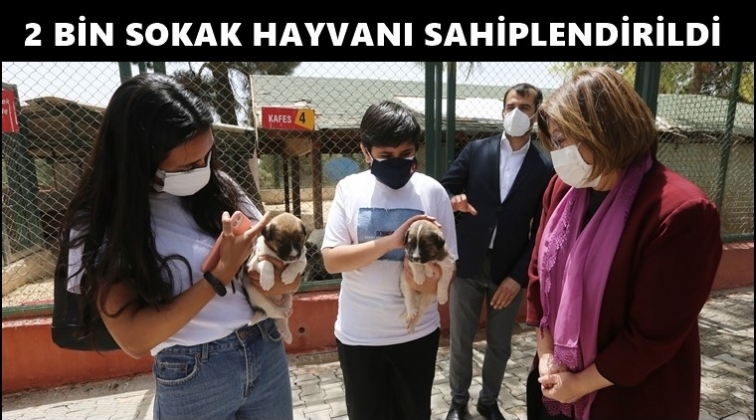 Şahin: 2 bin hayvanımızı ise sahiplendirdik...