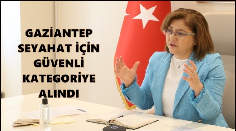 Şahin, ABD Büyükelçisiyle görüştü