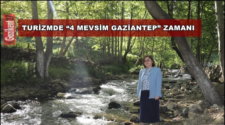 Şahin, Huzur Yaylası’nı inceledi