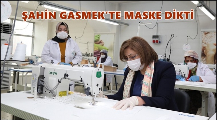 Şahin, maske dikti