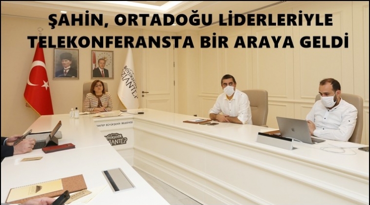 Şahin, Ortadoğu liderleriyle görüştü