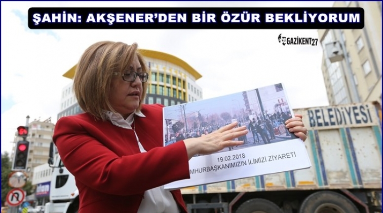 Şahin: &Ouml;z&uuml;r dilemezse hukuk gerekeni yapar...