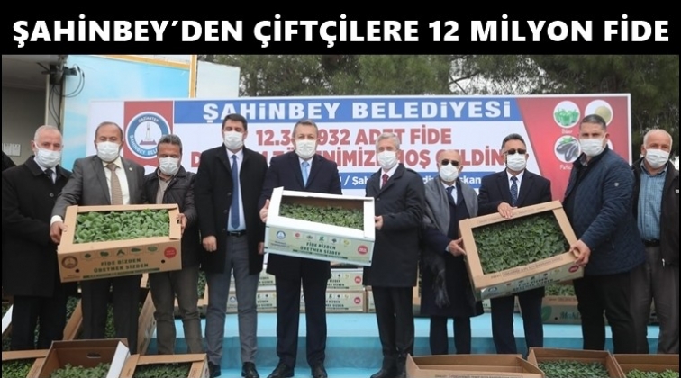 Şahinbey 12 milyon fide dağıtımı yapacak