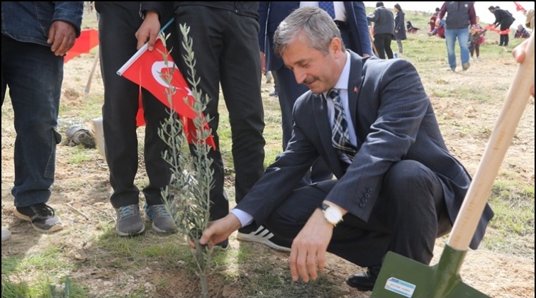 Şahinbey, 27 bin ağaç bağışladı...