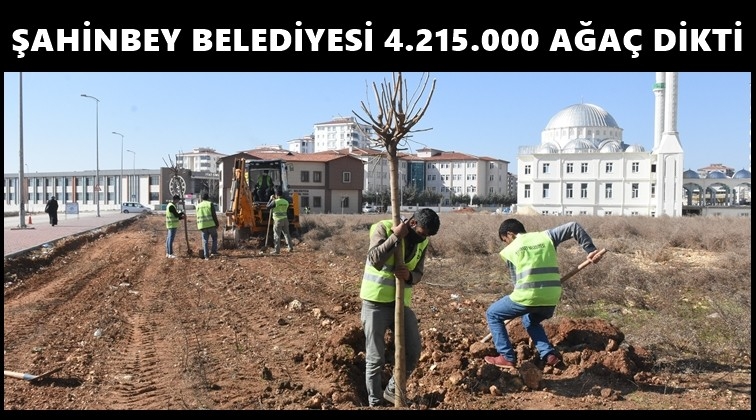 Şahinbey, 4 milyon fidanı toprakla buluşturdu